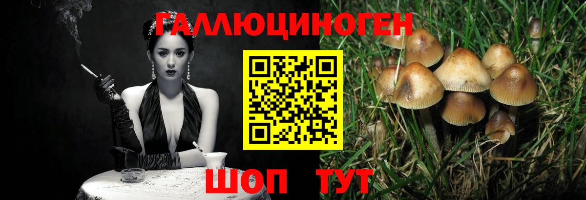 APVP Новокубанск